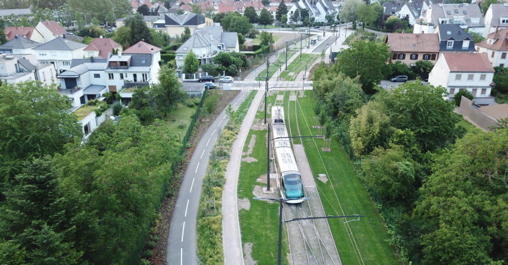 DCIM215MEDIADJI_0016.JPG