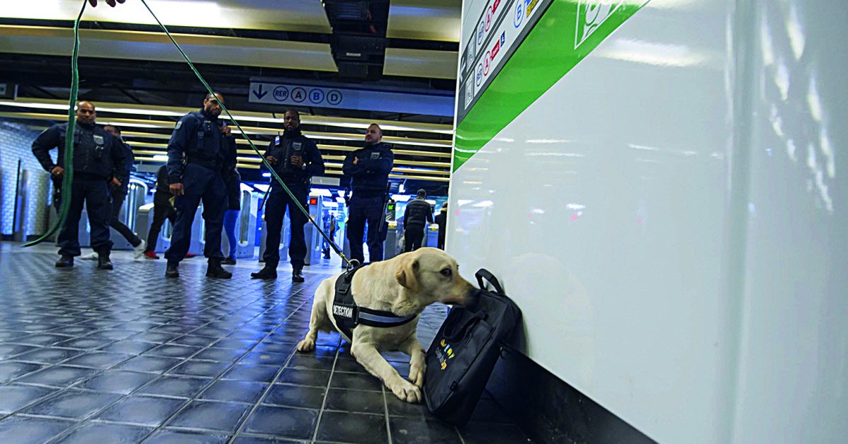 brigades Cynophiles RATP/SNCF