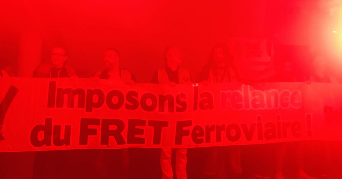 Le 23 mai, des syndicalistes de Sud Rail interrompent le colloque de la Fnaut à Paris pour protester contre le sort réservé à Fret SNCF