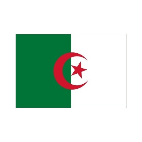 L'Algérie met en service une longue liaison ferroviaire pour desservir une mine du Sahara 3 Drapeau algérien