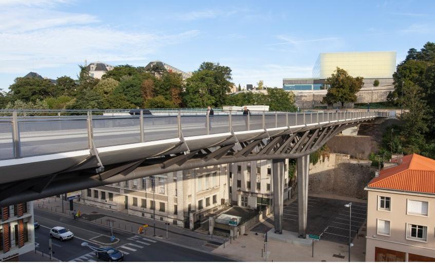 pontleonblum