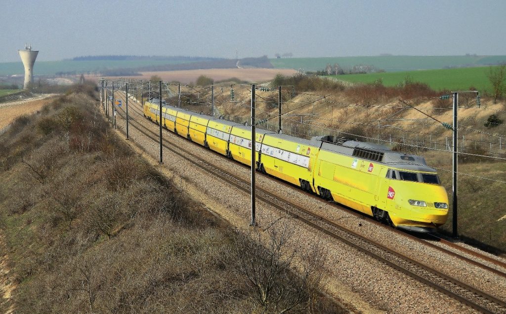 tgvcarexIMG 3256b